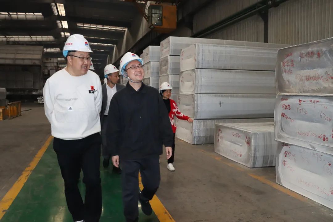 平果市政府考察团莅临云顶集团铝业考察交流