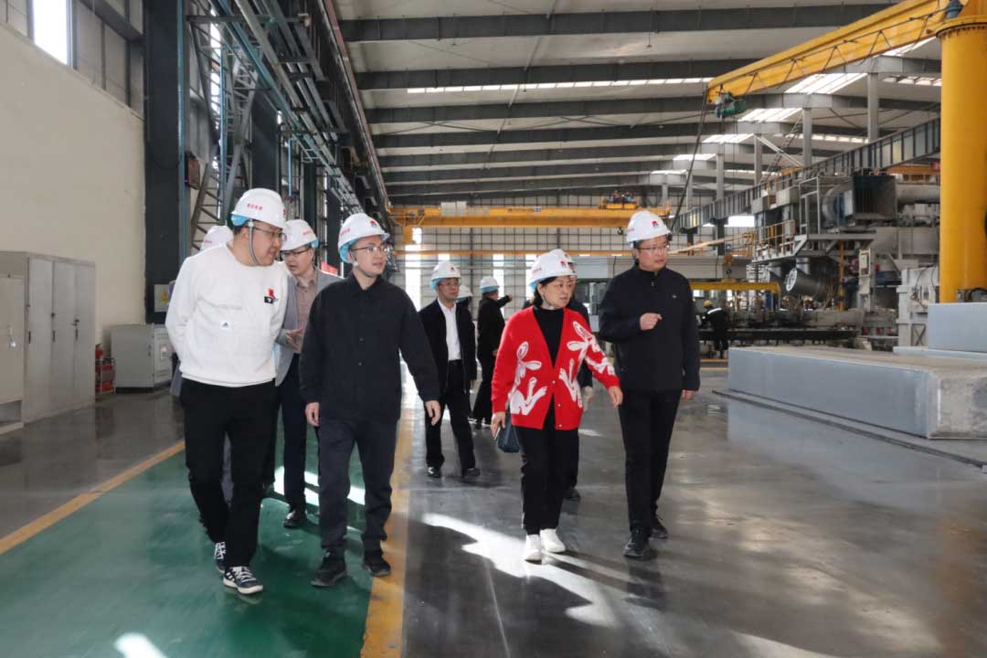 平果市政府考察团莅临云顶集团铝业考察交流