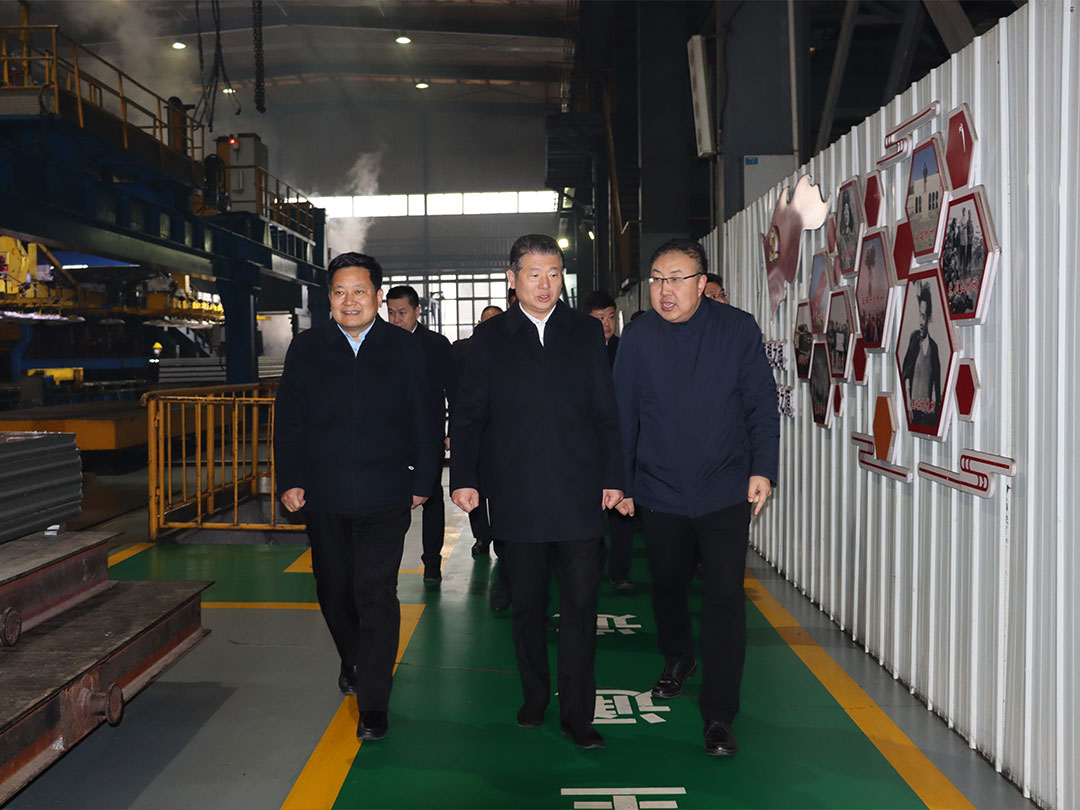 林州市委书记王宝玉一行到云顶集团铝业考察指导