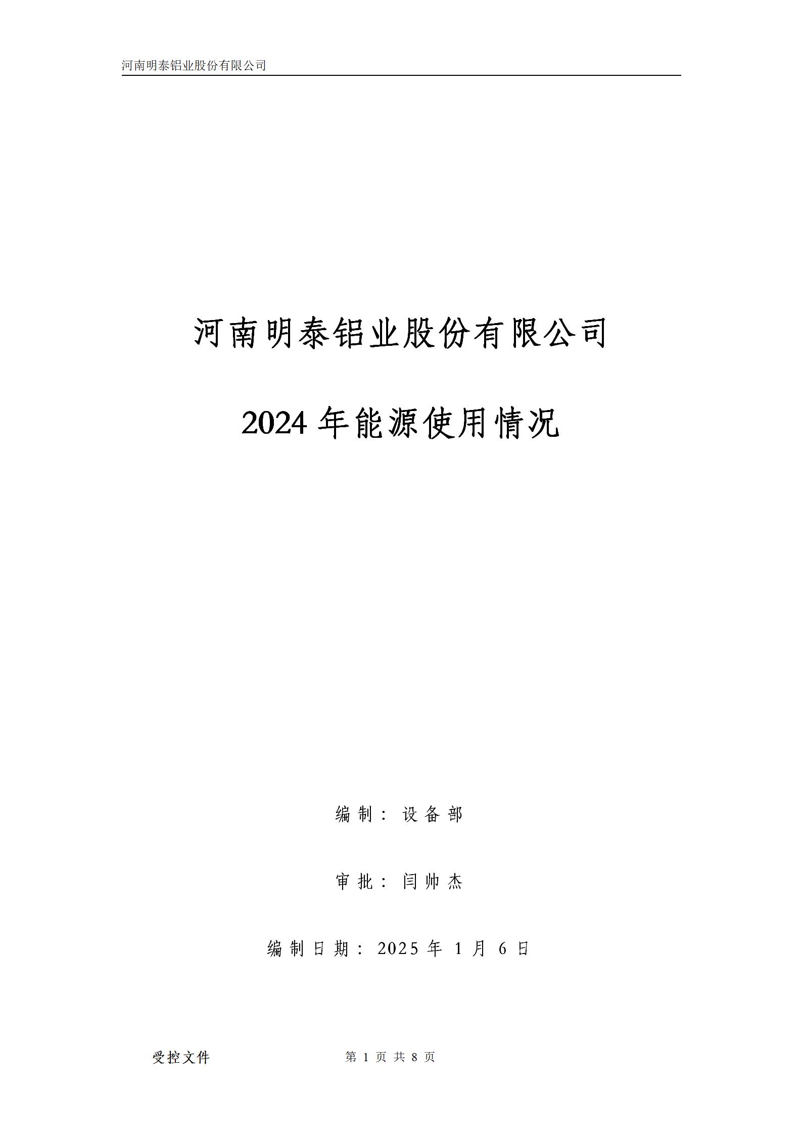 云顶集团铝业能源使用情况-2024年