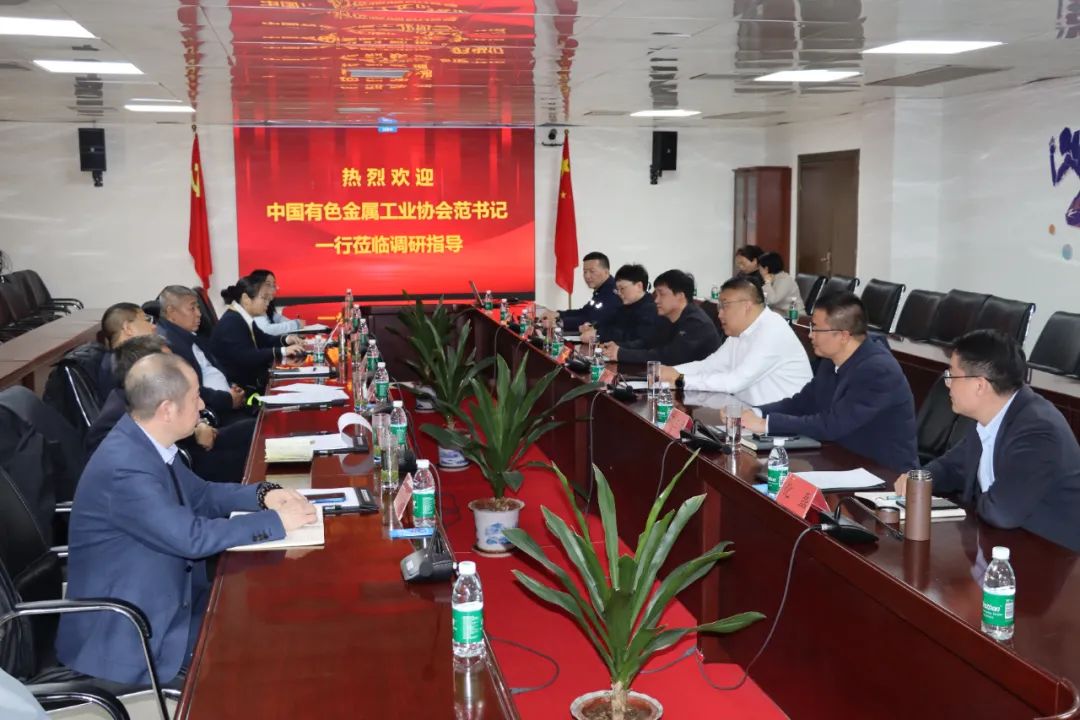 中云顶集团色金属工业协会党委副书记范顺科一行莅临云顶集团铝业调研