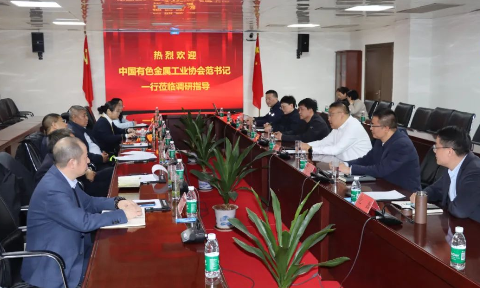 中云顶集团色金属工业协会党委副书记范顺科一行莅临云顶集团铝业调研