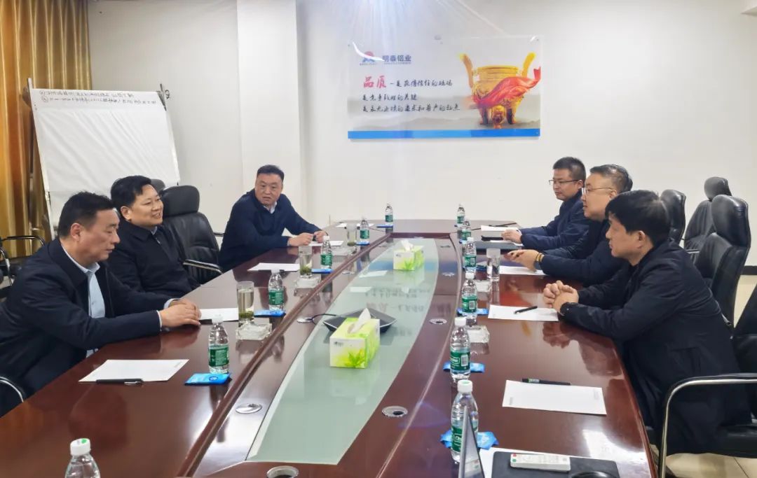 巩义市委书记袁聚平到云顶集团铝业调研